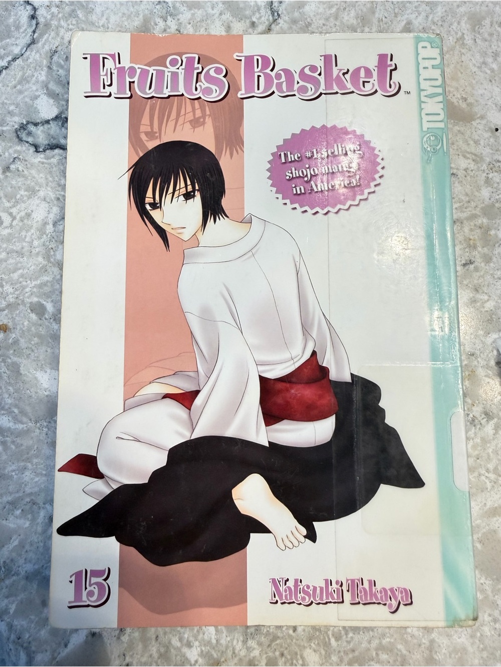 Fruits basket Tokyopop English Volume 15 Library Copy